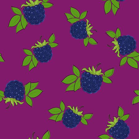 Seamless Pattern of Blackberry , Fruit Berry on Dark Lilac, Vector Illustrationのイラスト素材