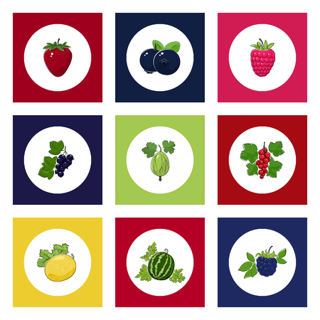White Round Icons with Fruit and Berry on Colorful Background.のイラスト素材