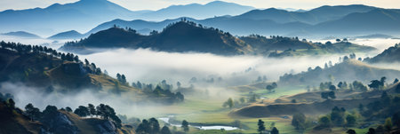 Mystical mysterious fog over the forest tops with a view of the mountains at dawn, bannerの素材