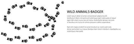 Banner of traces of animal European badgerのイラスト素材