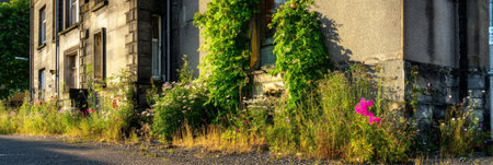 Colorful wildflowers and greenery envelop the weathered structure, showcasing nature's beauty amidst urban neglect during a sunny summer day in an abandoned area.の素材