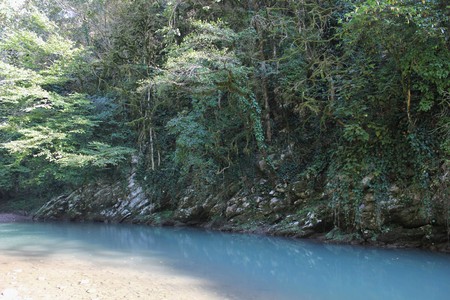 Relic Biosphere Reserveの写真素材