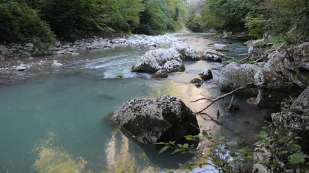 Relic Biosphere Reserveの写真素材
