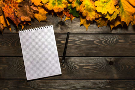 Spiral notepad and pen lies on vintage wooden desk with bright autumn foliage. Business and...
