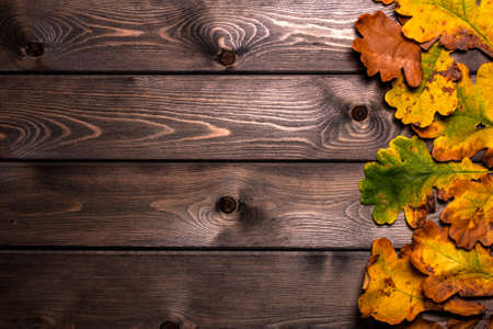 of the green, yellow, and orange oak foliage on the wooden table. autumn compositionの写真素材