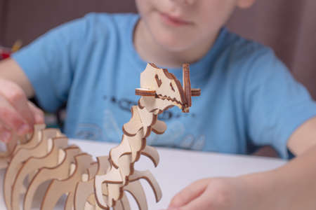 Organic wooden 3d dinosaur construction toy. The child collects a dinosaur constructor. Element for the design layout.の写真素材