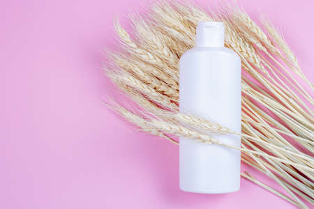 Blank cosmetics container and wheat ears on pink background. Cream or shampoo bottle mockup. Organic beauty product.の写真素材
