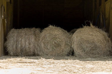 Haystack, a group of hay bales. agricultural farm. The harvest period with dry hay, a pile of dry grass.の写真素材