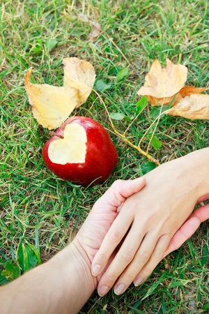 Romantic image with hands of  young couple of lovers on green grass with an apple with heart on it near and yellow leavesの写真素材