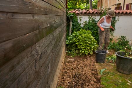 Senior woman in her 60s working in the garden