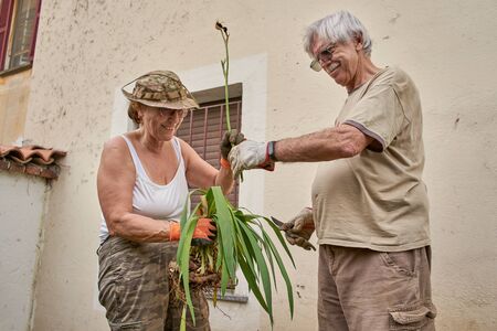 Happy senior couple working in the garden together