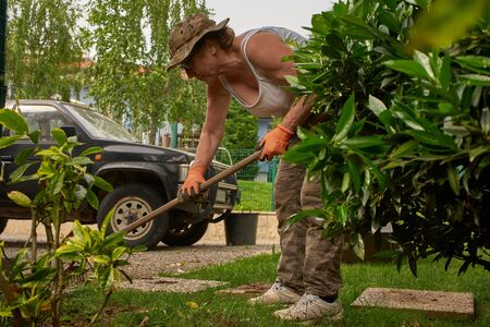 Senior woman in retirement working in the gardenの写真素材