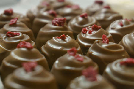 Patern of many rasberry chocolate pralines