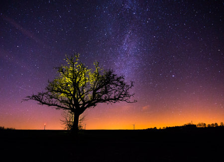 Yellow illuminated naked tree in winter fields with milkyway and stars in the backgroundの写真素材