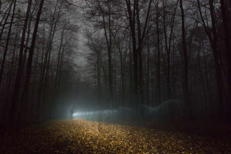 Shadow of man walking on path through foggy winter night forestの写真素材