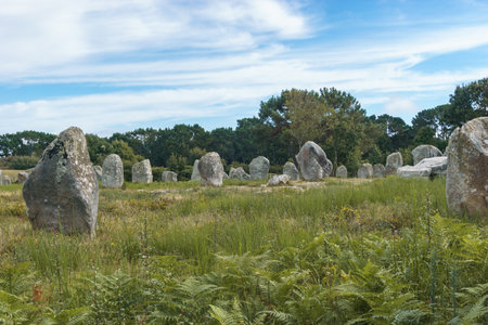 Miles long megalithic stones alignment on green meadow at Carnac, Brittany, Franceの写真素材
