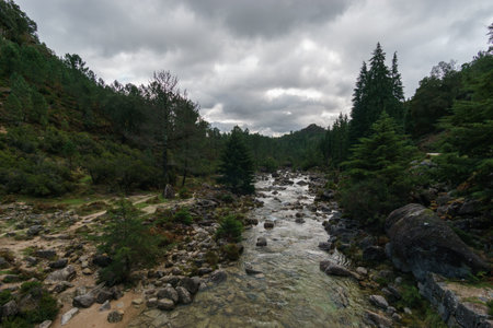 Mountain river Arado with much water during autumn time, Peneda-Geres National Park, Vilar da Veiga, Portugalの写真素材