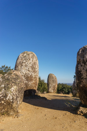Almendres cromlech ancient prehistoric stone circle is the most important of the Iberian peninsula near Evora, Alentejo, Portugalの写真素材