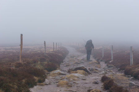 Hiking people on path GR 5 high up at the moor landscape of the Vosges with heather on a foggy atmospheric winter morning, Alsace, Franceの写真素材