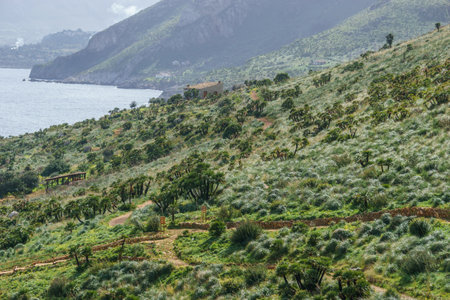 Famous natural reserve Riserva Naturale Orientata dello Zingaro at the mediterranean sea, San Vito Lo Capo, Sicily, Italyの写真素材