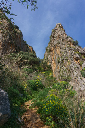 View at rocky landscape with green vegetation in Nature Park of Monte Cofano, San Vito Lo Capo,...