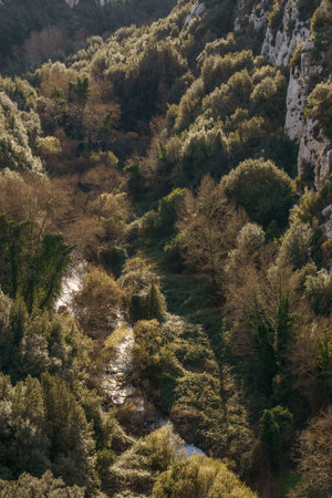 Forest and river at the beautiful canyon of Oriented Nature Reserve Cavagrande del Cassibile, Syracuse, Sicily, Italyの写真素材