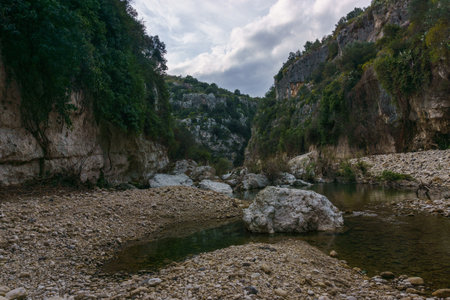 View of canyon of the Anapo valley with river at the nature reserve Pantalica, Siracusa, Sicily, Italyの写真素材