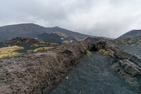 Lava canal at volcanic landscape of Mount Etna near the Silvester craters on a cloudy winter day, Catania, Sicily, Italyの写真素材
