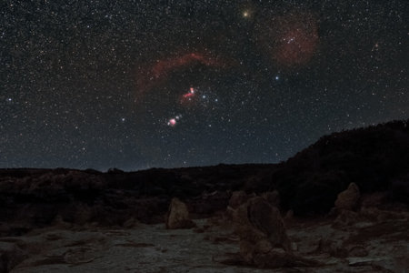 Petrified tree trunks at Geopark of Agios Nikolaos Petrified Forest with Orion constellation and nebula at the night sky, Laconia, Peloponnese, Greeceの写真素材