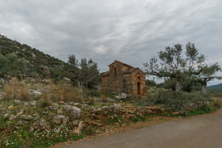 Ancient orthodox chapel besides road at olive grove with flowers on idyllic rocky meadow in spring time, Stavropegial, Messinia, Peloponnese, Greeceの写真素材