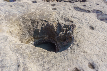 Hole of a petrified tree at Geopark of Agios Nikolaos a Petrified Forest at the mediterranean sea...