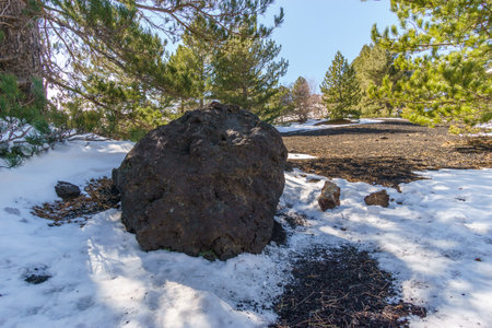Volcanic landscape of Mount Etna with lava bomb and snow during winter time, Catania, Sicily, Italyの写真素材