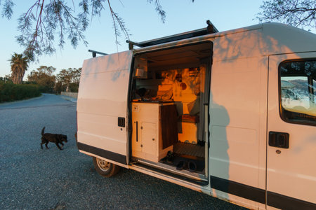 Camper van with open door and a black dog besides standing at the beach under a tree in golden...