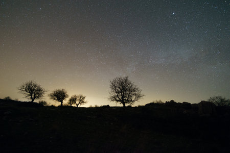 The core of the Milky Way rising over Greek landscape with tree in front, Arcadia, Peloponnese, Greeceの写真素材