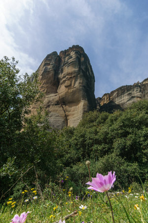 The Meteora rock formation with beautiful flowers blooming on a meadow, Kalambaka, Thessaly, Greeceの写真素材