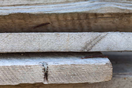 Wooden beams background.の写真素材