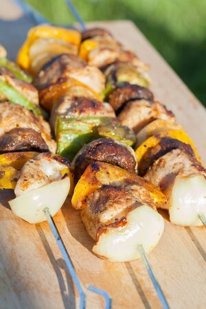 Grilled turkey skewers with peppers and mushrooms.の写真素材