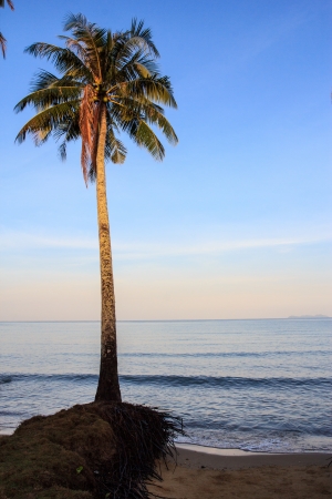 Sea view in morning time make a lonely and calm の写真素材