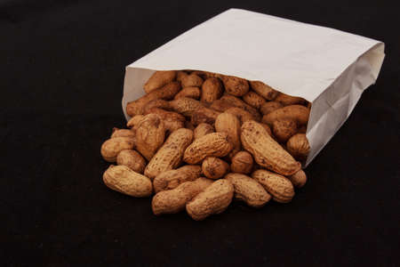 Peanuts with shell pour from paper bag.の写真素材