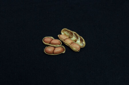 Openned Peanut with shell isolate from black.