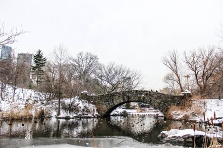 Bridge in Central Park NYC in winter season.の写真素材