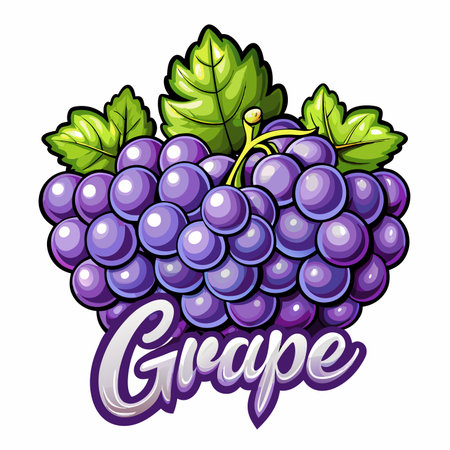 Luscious bunch of purple grapes with leafy embellishmentsのイラスト素材