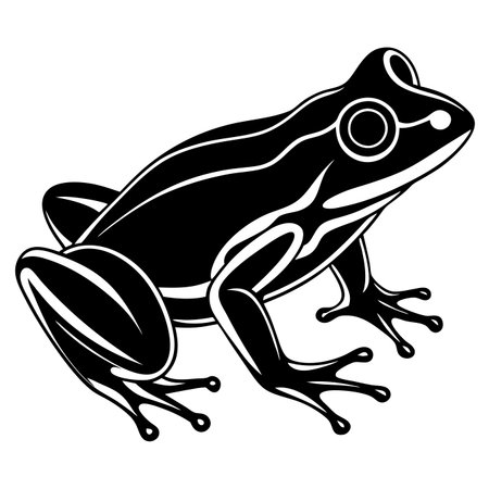 Stylized frog illustration with striking black and white contrastのイラスト素材