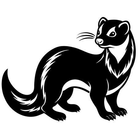 Black and white illustration of a stoat with a bushy tail, looking to its rightのイラスト素材