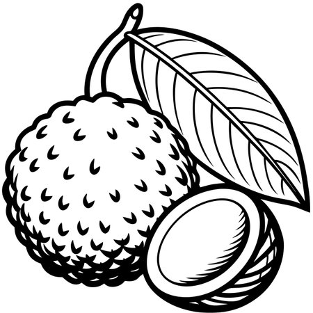 Outline of lychee fruit with leaf and cut piece in black and whiteのイラスト素材