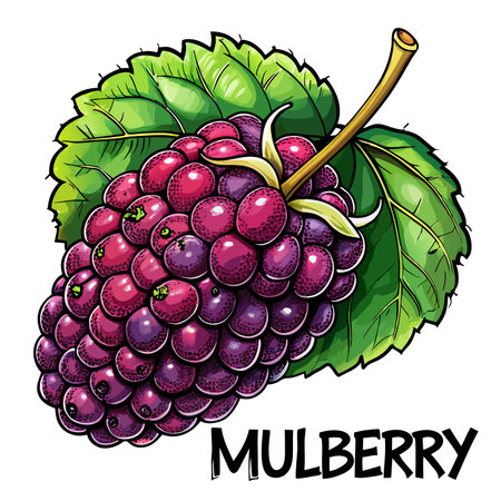Luscious, dark purple mulberry fruit with green leaves, hand-drawn illustrationのイラスト素材