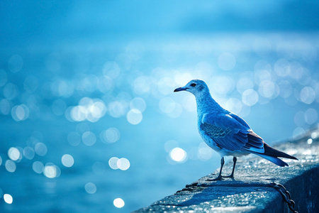 Seagull perched seaside wall, ocean bokeh background, coastal serenity, nature photographyの素材