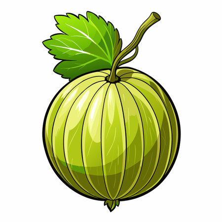 Green gooseberry with leaf, simple illustrationのイラスト素材