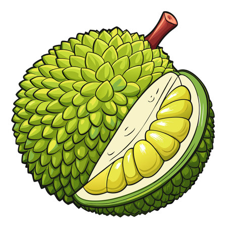 Spiky green fruit, sliced open. Yellow fleshy interior revealed. Brown stemのイラスト素材