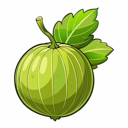 A green gooseberry with leaves and stem isolated on a white background, cartoon-styleのイラスト素材